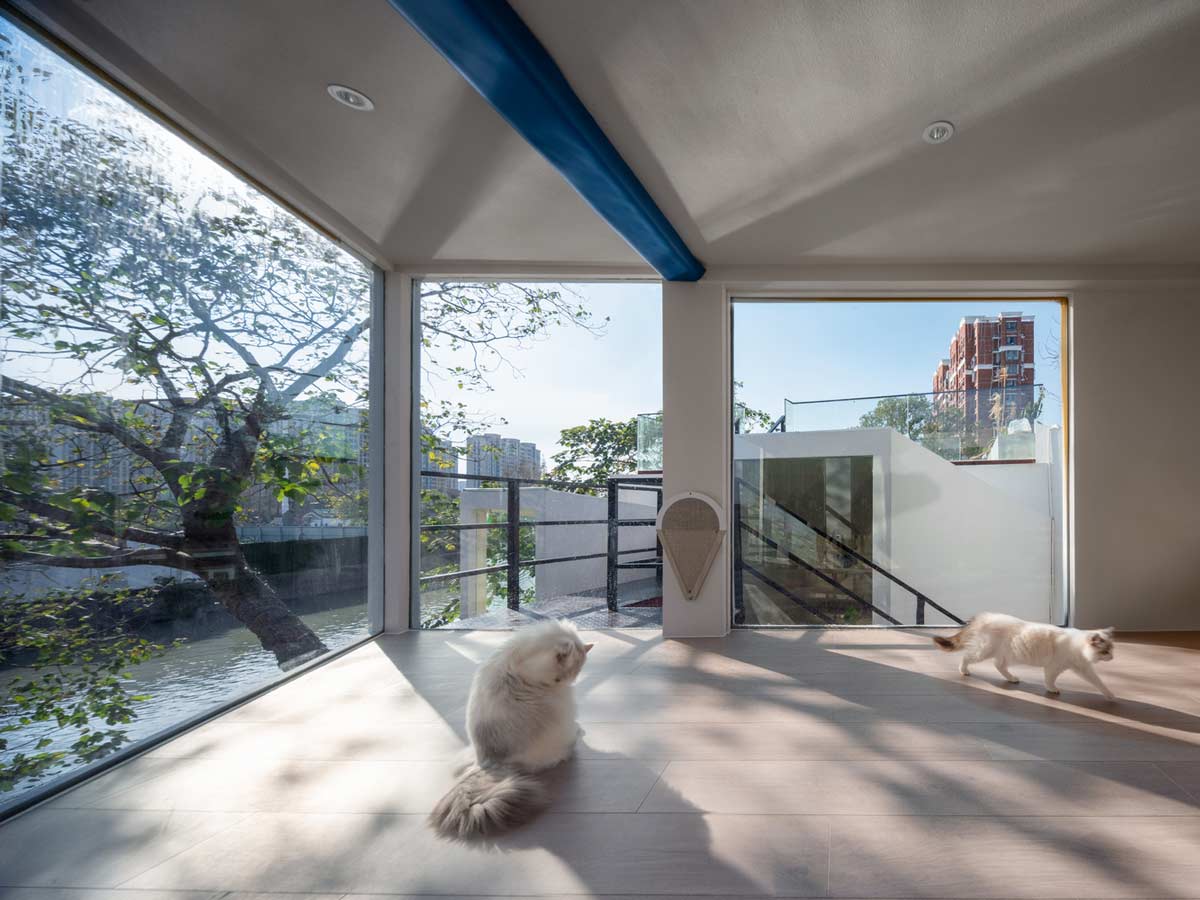 طراحی معماری و طراحی داخلی فروشگاه لیلیت- خانه باغی برای گربه ها- گروه طراحی معماری و مهندسی آس دیزاین
