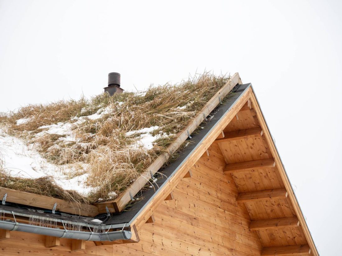 سقف پوشیده شده با چمن واردن - تحریریه آس دیزاین